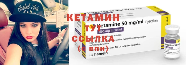 стаф Дмитровск